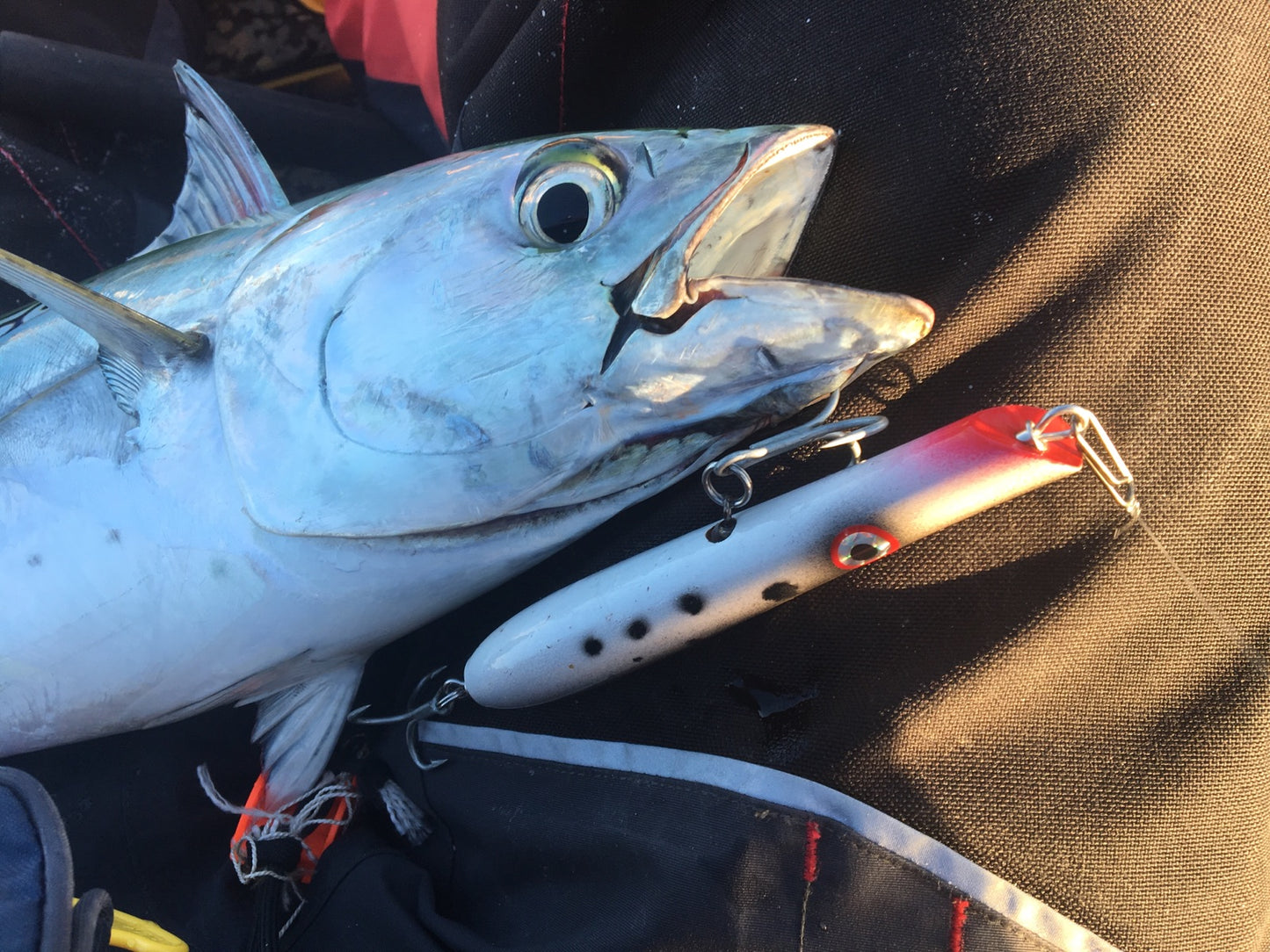 Fish Stick Round-Bottom Pencil Popper - 5.5" ~1.25oz