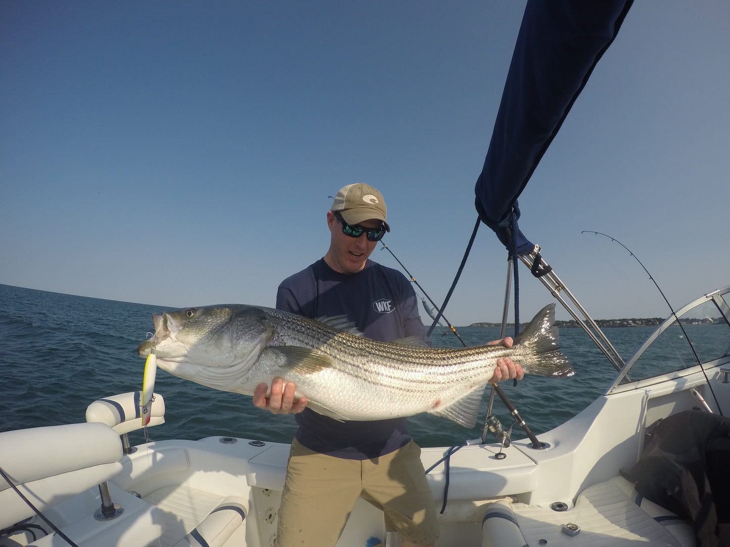 Fish Stick Round-Bottom Pencil Popper - 5.5" ~1.25oz