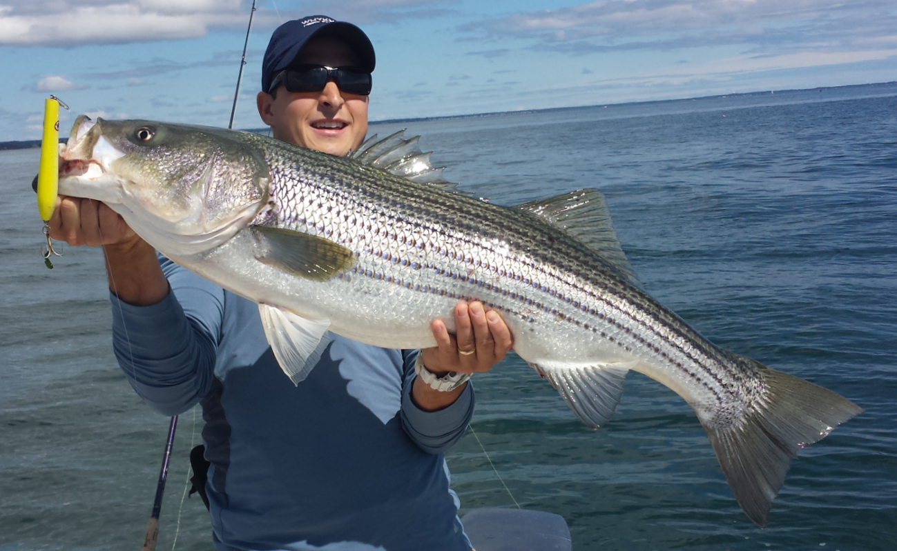 Fish Stick Round-Bottom Pencil Popper - 5.5" ~1.25oz