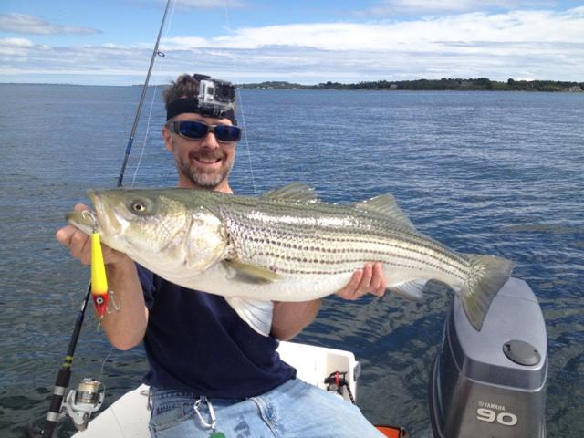 Flipping Mullet Spook - 5.75" ~1.25oz