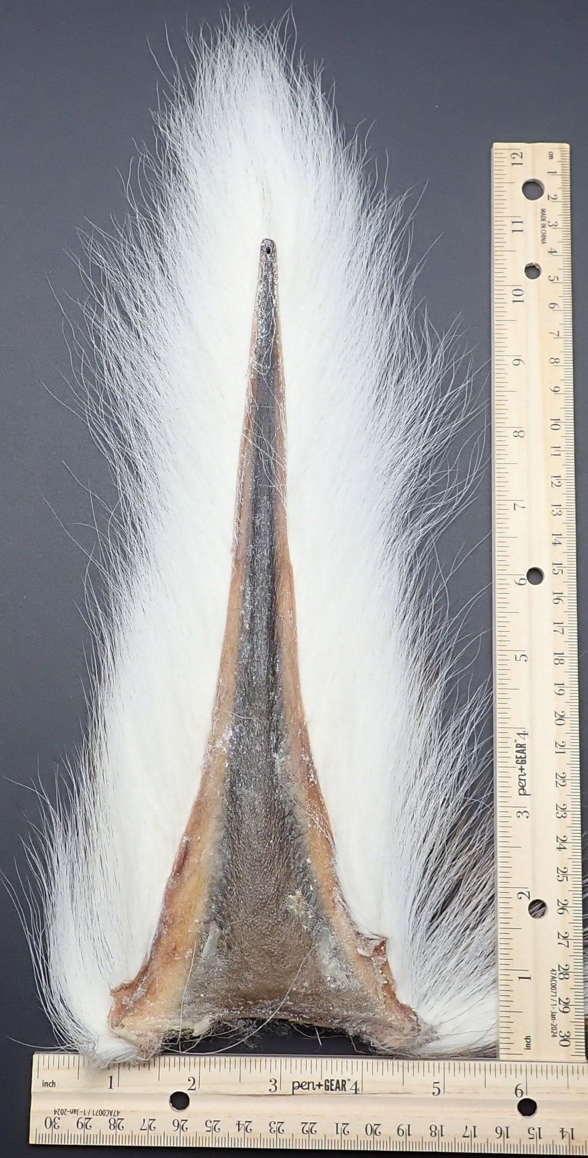 Bucktails - Deer tails - our own 365 LureCraft brand