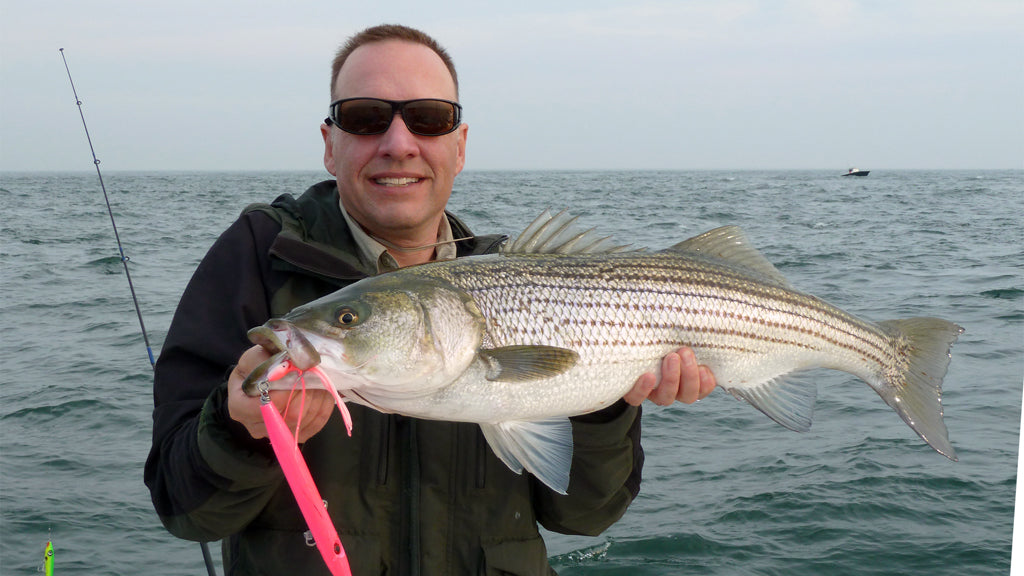 Needlefish Slow Sink 9" ~2.5oz