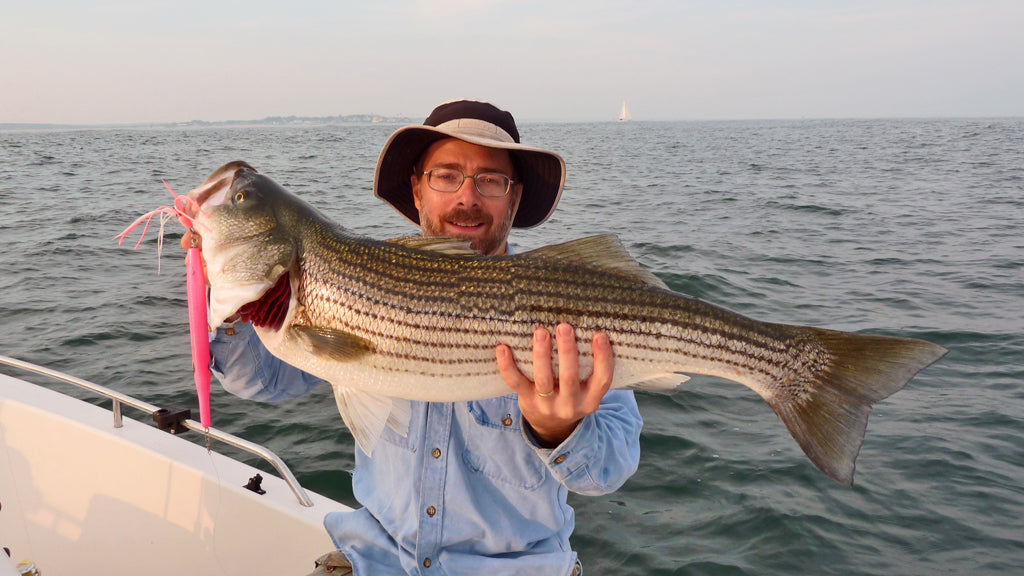 Needlefish Slow Sink 9" ~2.5oz