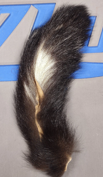 Skunk Tail