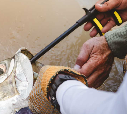 Loon Apex Hook Remover