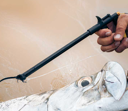 Loon Apex Hook Remover