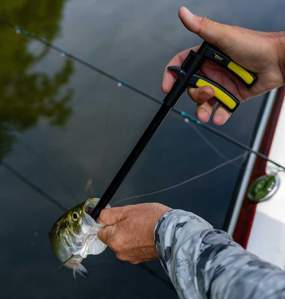 Loon Apex Hook Remover